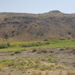 مطالعات جامع آبخیزداری و مدیریت منابع جنگلی